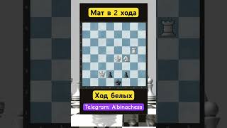 Telegram: Albinachess #chess #шахматы #chorts