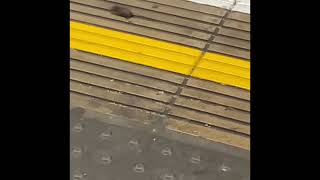 Rats on London Tube (20-11-22)