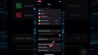 23 How To See Blocked Calls On iPhone iOS 18