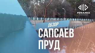 Сапсаев пруд (Пуща-Водица) — Обзоры водоемов | Телеканал Рыбалка