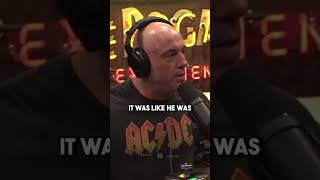 A WOLF at the DOG PARK?! #joerogan #jre #shorts #dog