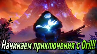 Маленький белый ниндзя спасает мир!!! - Ori and The Blind Forest (Выключился ПК)