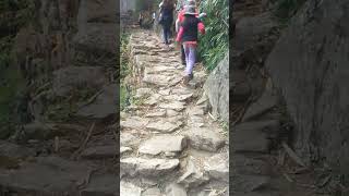 Camino Inca cusqueño. #shortsyoutube #cusco #travelshorts #aventura