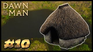 Dawn of Man Thatching | EP 10 | Dawn of Man Gameplay Series