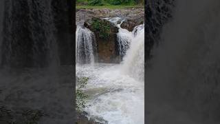 Beautiful Water falls #waterfalls #shorts #ytshorts