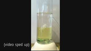 Levitating Ice Cube - 20 Minute Labs: Yellow Scope