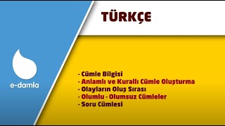 2. Sınıf Türkçe - 3. Ünite