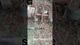 #snake # ಹಾವು #snakevideo  #viralvideo #phonk #anime #music #аниме