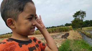 Serunya Bermain Ke Sawah - Liburan Sekolah. Playing At Rice Field.