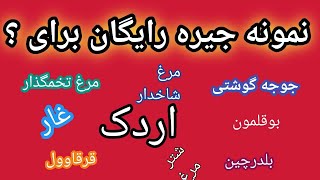 جیره برای پرندگان , جیره طیور , جیره جوجه گوشتی , جیره مرغ تخمگذار , جیره غاز , جیره اردک