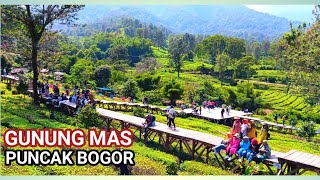 WISATA ALAM GUNUNG MAS PUNCAK BOGOR