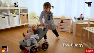 Carucior pentru papusi Big Buggy 3 in 1