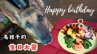 happy birthday毛孩子8岁生日鲜食大餐 🐕‍🦺🎂🥰