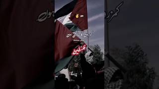 Save Palestine muslim country #islamic #trending#viral #shorts