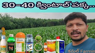 #మొక్కజొన్న లో #కత్తెర #పురుగు నివారణ..30-40 క్వింటాల దిగుబడి రావాలి అంటే ఎలా..#కలుపు నివారణ..