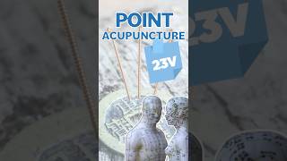 POINT D’ACUPUNCTURE - 23V / Shen Shu #acupuncture #acupuncturepoints #medecinechinoise