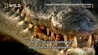 Соленоводните крокодили | Croctober | NG Wild Bulgaria