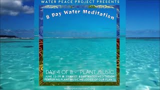 JUN 15 Day 4 of 8 Day Water Meditation & Experiment Featuring Plant Music.