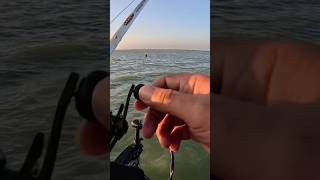 Videos de pesca