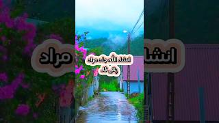 Har Dua Qabool hone ka wazifa #youtube #shorts #islamic