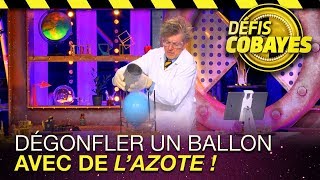 Dégonfler un ballon avec de l'azote !- Défis Cobayes - France 4