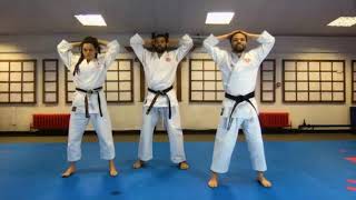 Zen-Shin First Ever Live Stream Karate Class on Zoom (Full Class)