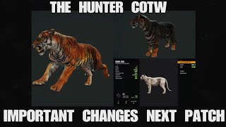 TENT SPOOK DISTANCE CHANGE NEXT PATCH / UPDATE THE HUNTER COTW