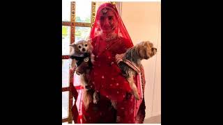 Patralekhaa post cute doggies #short