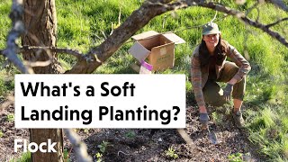 Planting a SOFT LANDING Under Our Tree Circles — Ep. 181