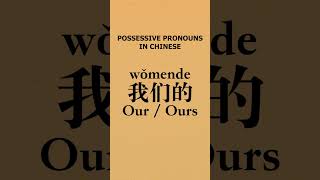 Possessive Pronouns in Chinese! #shorts #learnchinese