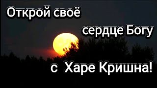 Великая Маха Мантра Харе Кришна - Открой своё сердце Богу!