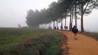 Camino de Santiago Francés: Sarria - Santiago de Compostela (2017 Septiembre)