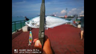 FishingWithNas Episode 24 - Mini Queenfish CRAZY FRENZY at Bedok Jetty