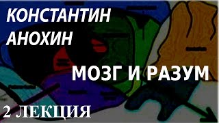 ACADEMIA. Константин Анохин. Мозг и разум. 2 лекция. Канал Культура