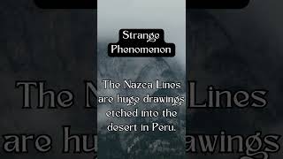 The Nazca Lines #ancientmysteries #facts #mysteriouslegends #legends #paranormal #mythsandlegends