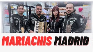 🎼😊Mariachis MADRID España🎻