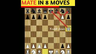 Checkmate in 8 moves. #shorts #subscribe