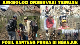 ARKEOLOG OBSERVASI TEMUAN FOSIL BANTENG PURBA DI NGANJUK