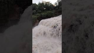 Huge step waterfall in India 🪜#shorts #godachinmalki #waterfall #karnatka #gokak