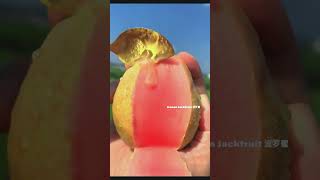 🍓🍒🍏Farm Fresh Ninja Fruit 🍎🍇🍉🍑😍 Eating Fruit yummy Oddly Satisfying Fruit Ninja #2177