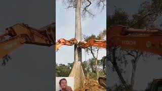 2 eskapator menumbangkan pohon besar #eskapator #bigtree #skills