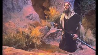 Burning bush~ Moses-~Transformation