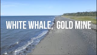 White Whale, Gold Mine