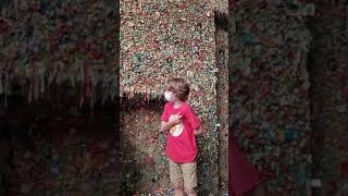 Gum Wall Seattle does he chew the used gum for $10? So Gross