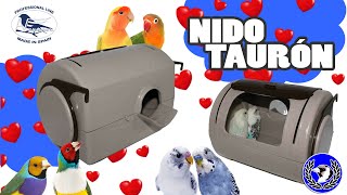 💙❤️ Nido Taurón MoldesAve 🐣