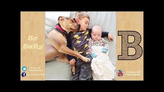 Funny Dogs   Best Funniest Dog Compilation 2017 - VideoStudio