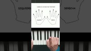 Clases de piano para principiantes - Número de dedos para tocar el piano