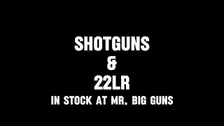 MR. BIG GUNS - 22LR AND SHOTGUNS ON SALE AND IN STOCK! - 10/26/24