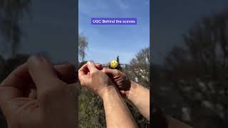 UGC: Behind the scenes! 🤣