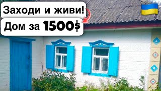 🇺🇦 Заходи и живи! Дом в селе за 1500$ Продажа недвижимости за копейки! Всё есть Уютное тихое село!